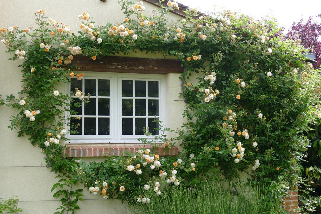 クル・シュヴェルニ ル クロ デ ペロディエール Bed & Breakfast エクステリア 写真